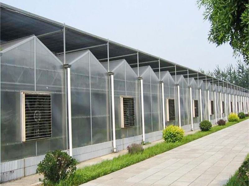 阳光板温室12.jpg